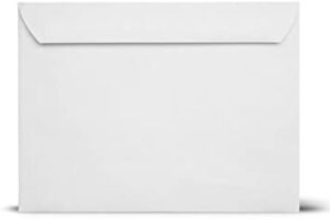 Black+1 Color Spot  Spot 9x12 Catalog Envelopes