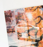 24x36 Acrylic Wall Art Printing