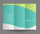 8.5x14 Half or Trifold Brochures